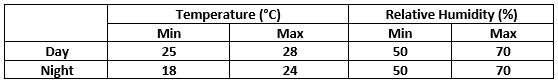 Cannabis temperature