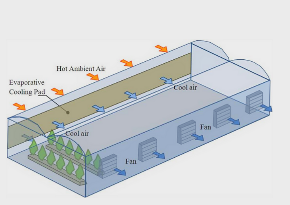 pad fan cooling greenhouse system