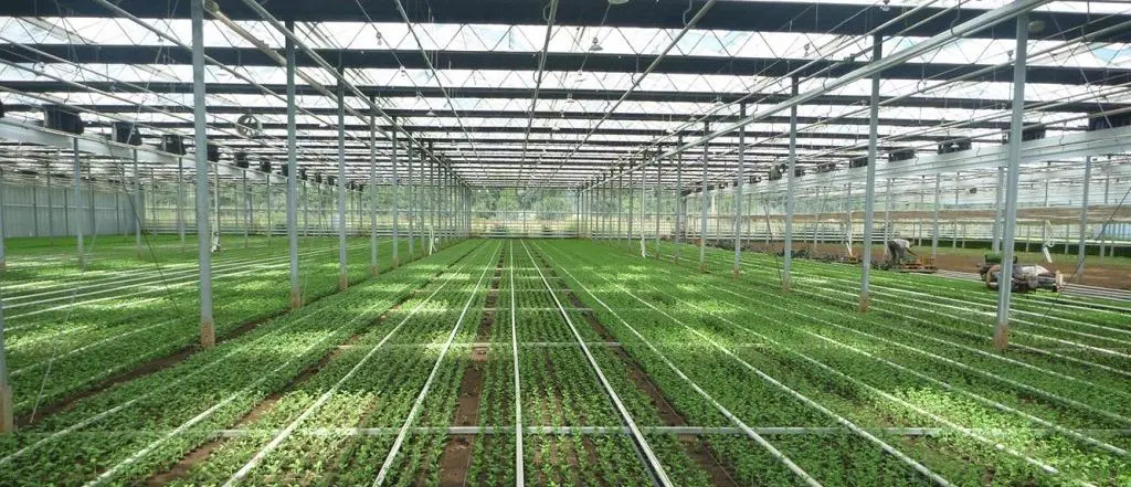 energy efficient greenhouse heating