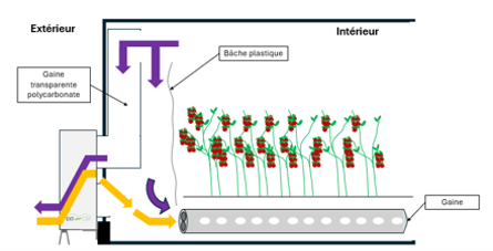 Active Ventilation Systems Hortinergy